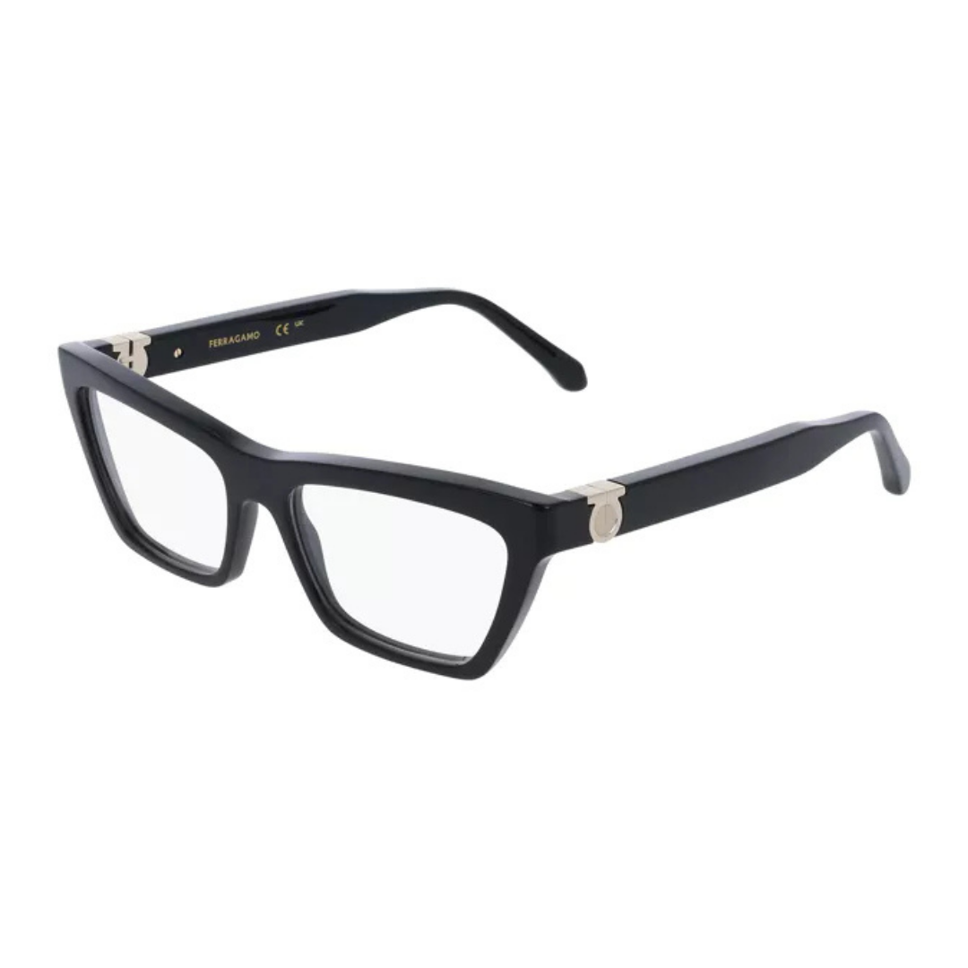 Lunettes Salvatore Ferragamo | Modèle SF3021