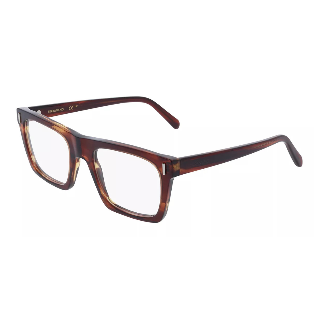Lunettes Salvatore Ferragamo | Modèle SF3029