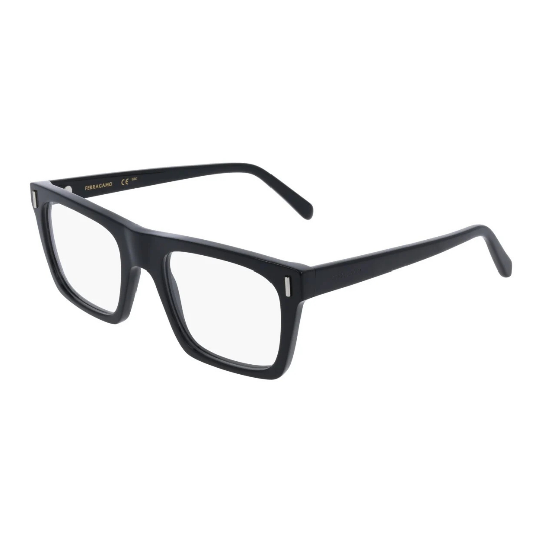 Lunettes Salvatore Ferragamo | Modèle SF3029