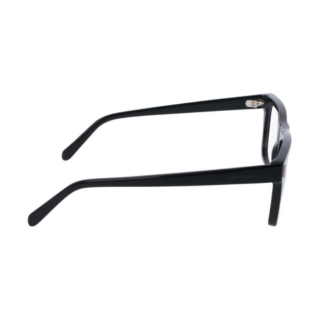 Lunettes Salvatore Ferragamo | Modèle SF3029
