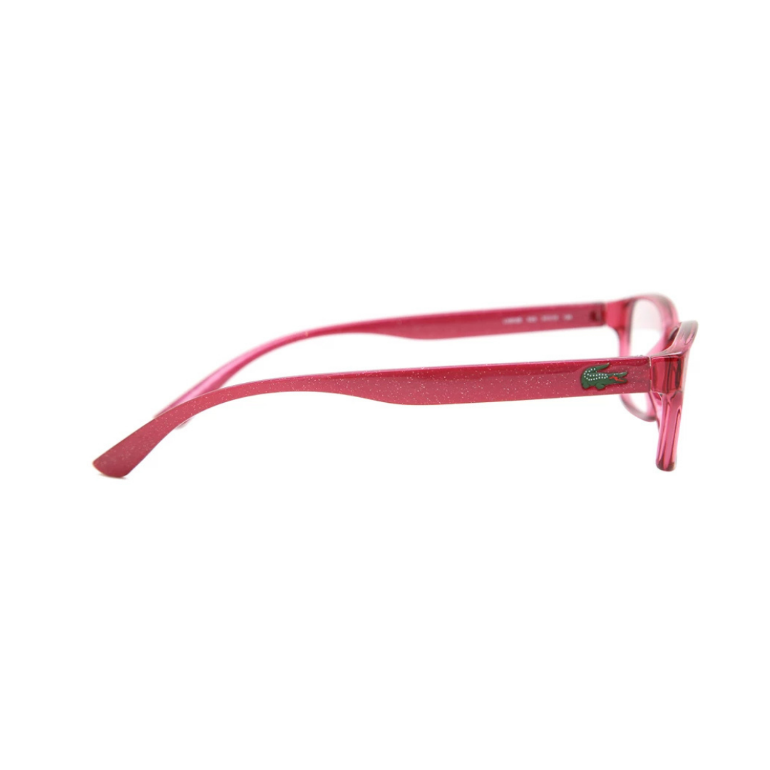 Monture de lunettes Polaroid | Enfants | Modèle PLDD811